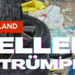Keller Entrümpelung Saarland
